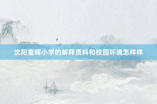 沈阳童晖小学的解释质料和校园环境怎样样