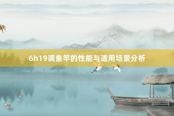 6h19调鱼竿的性能与适用场景分析