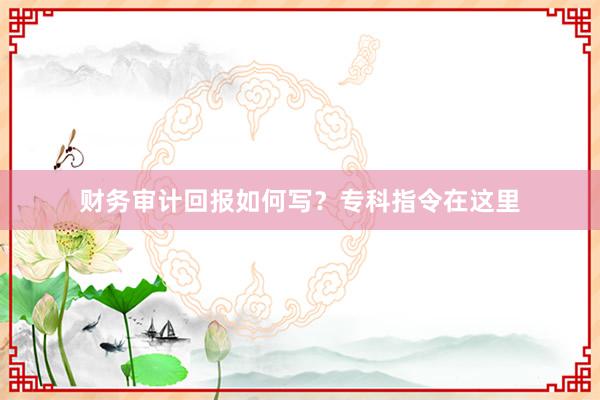 财务审计回报如何写？专科指令在这里